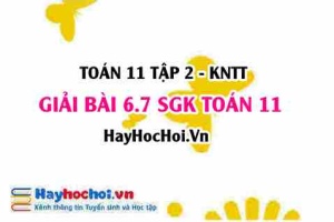 Bài 6.7 SGK Toán 11 Tập 2 Kết nối tri thức